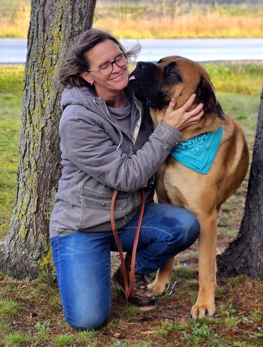 Groot, a Adoptable Bullmastiff in Cheboygan, MI image 2/6