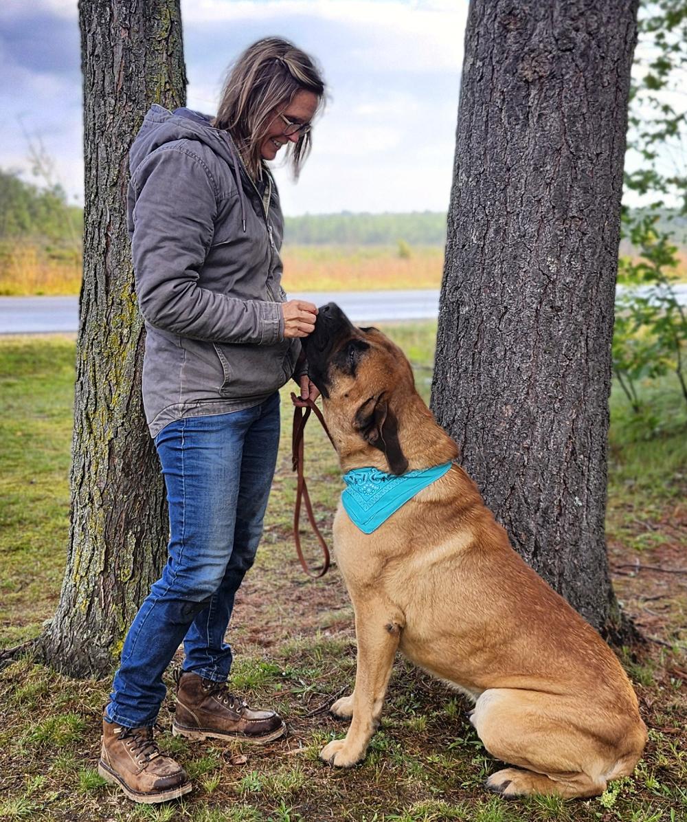 Groot, a Adoptable Bullmastiff in Cheboygan, MI image 6/6