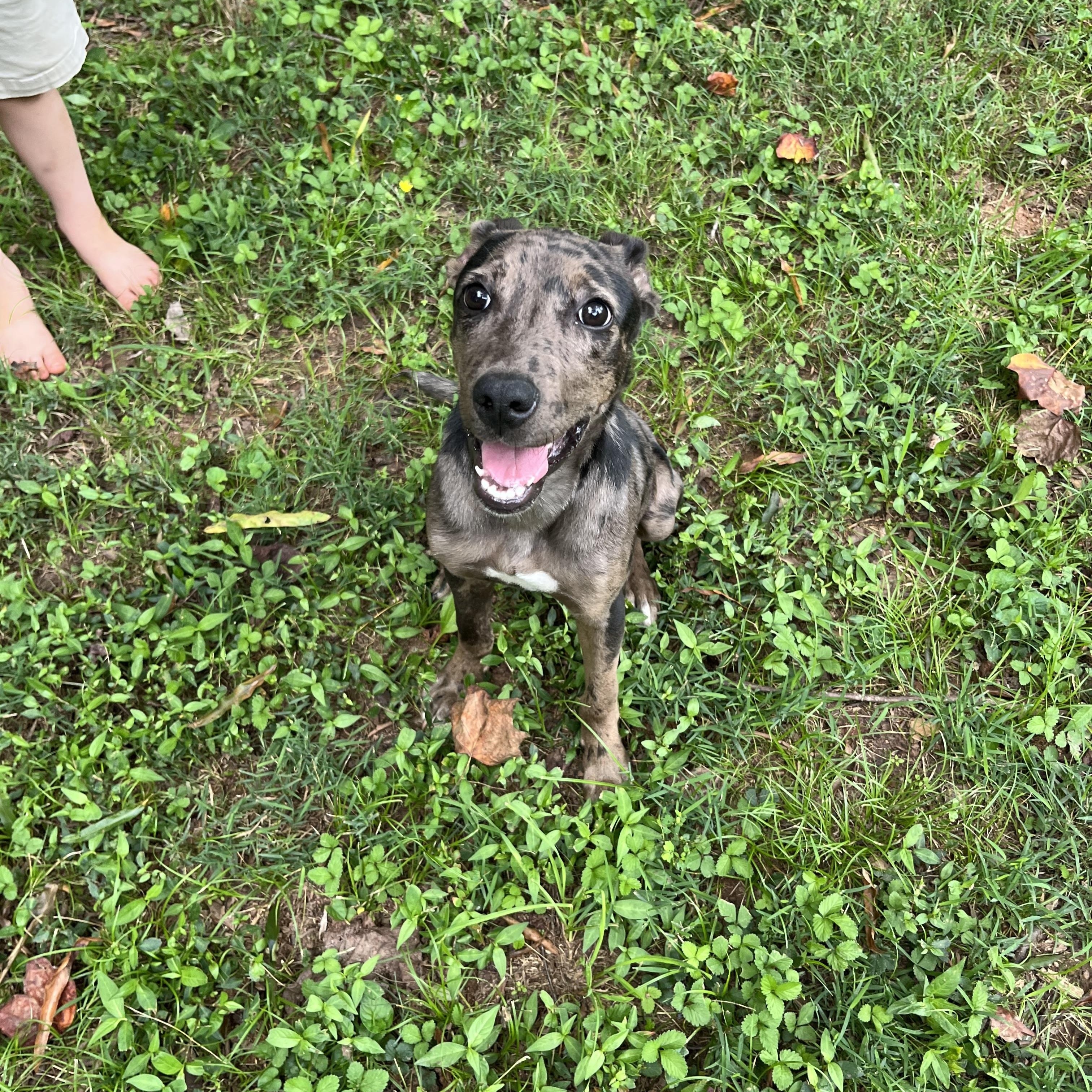 Mia