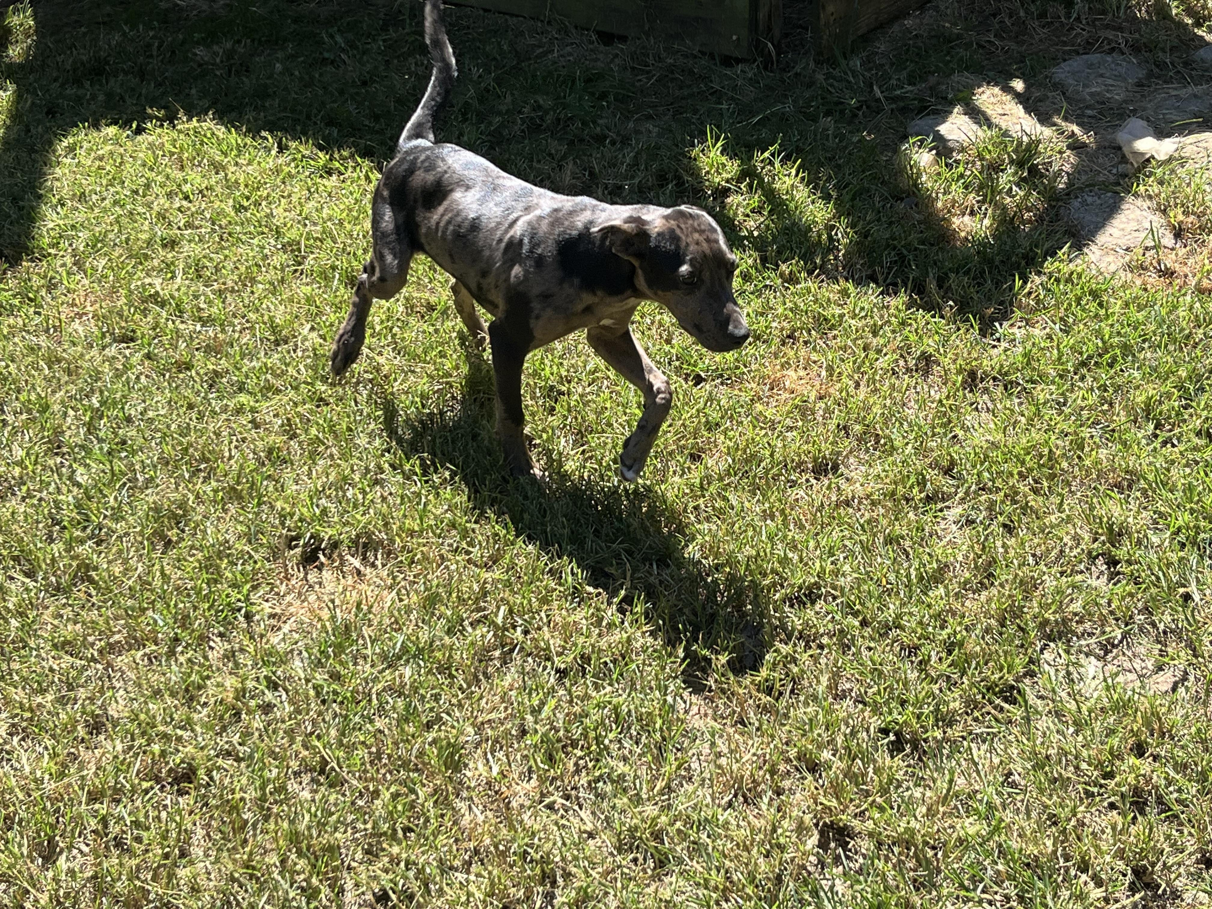 Mia