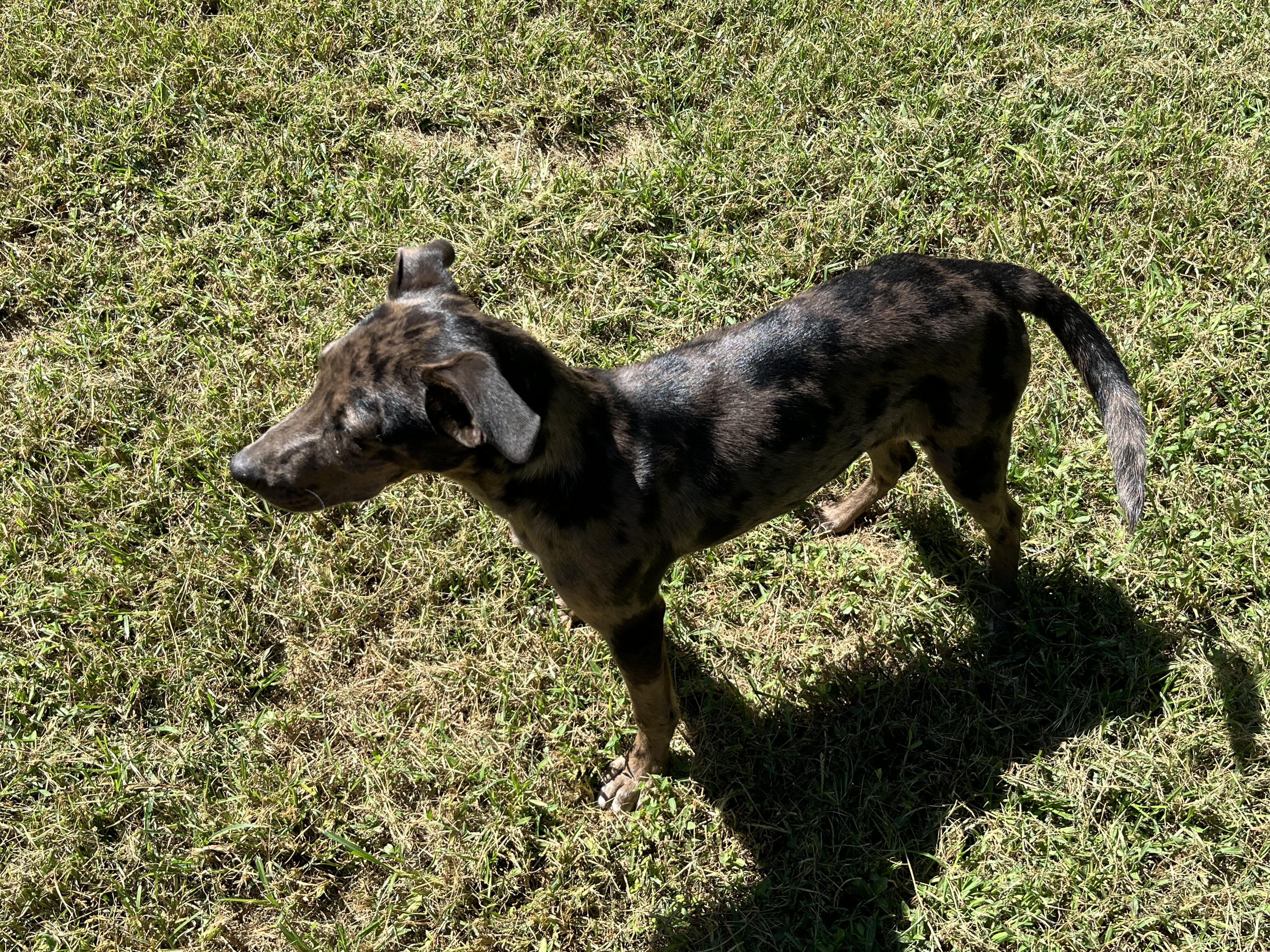 Mia