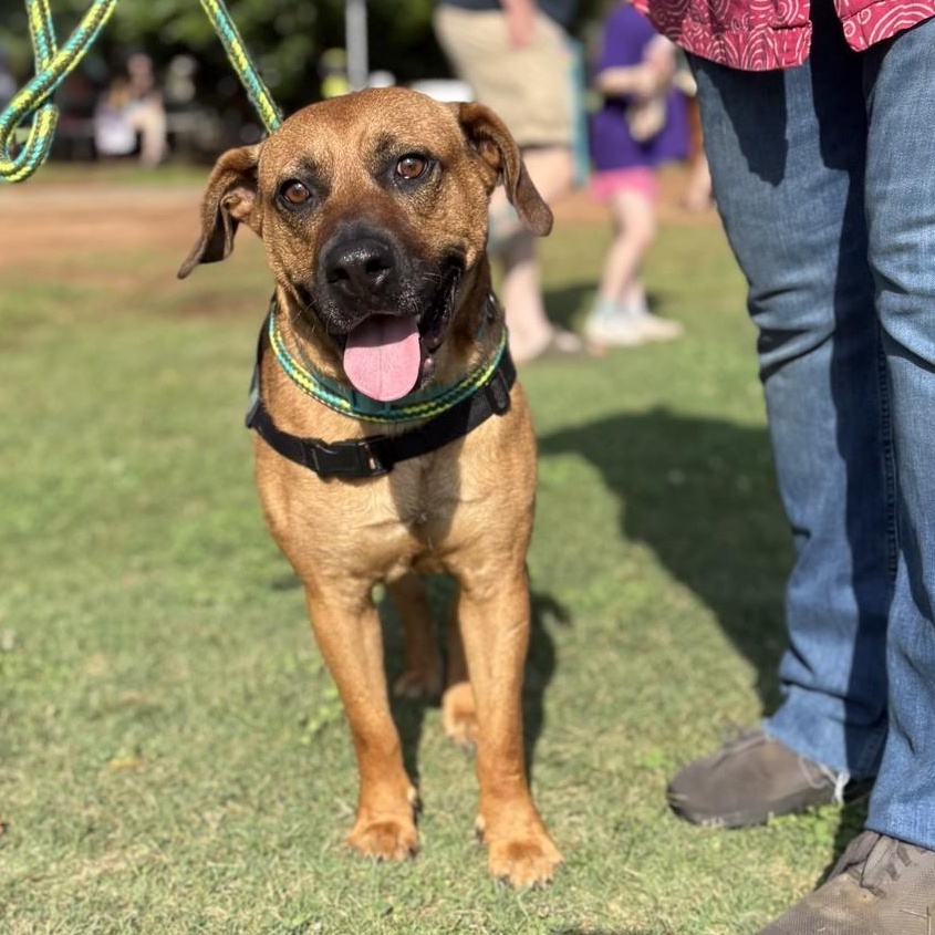 Duke