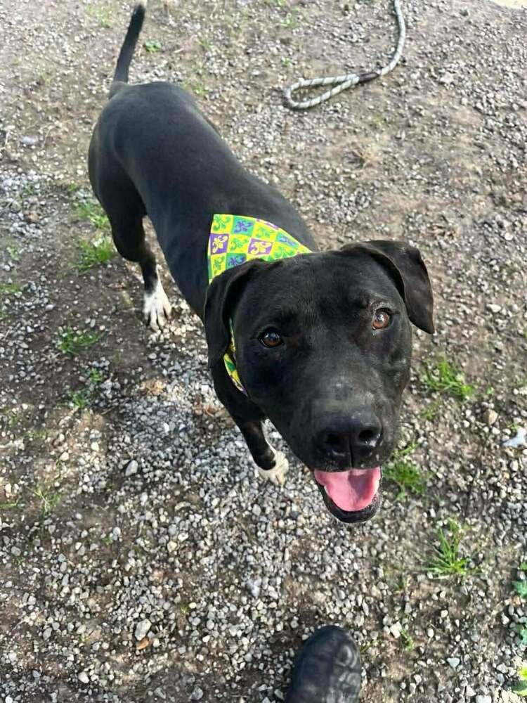 Sheila — thumbnail 2