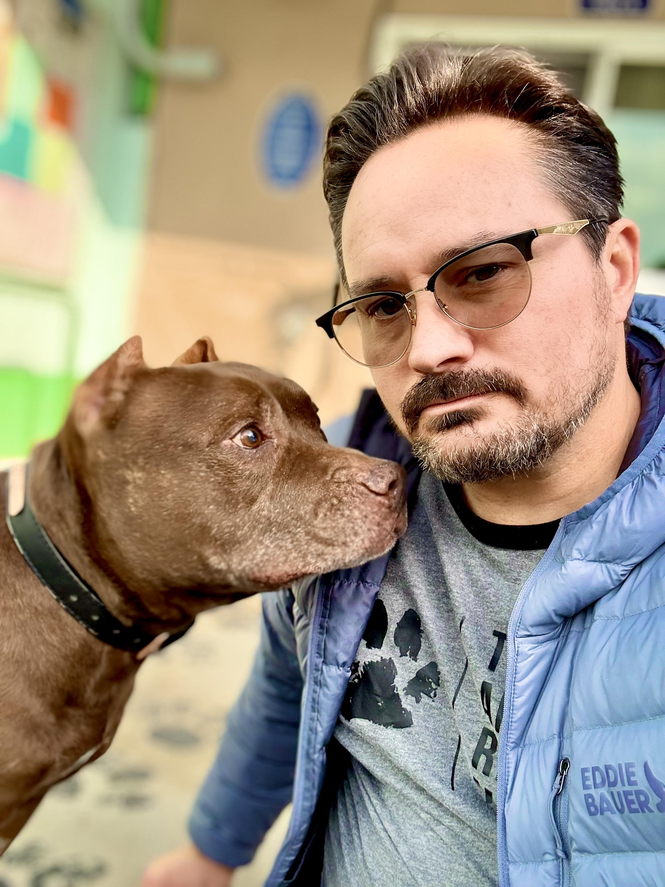 Brad Pitt, a Adoptable Pit Bull Terrier in Thousand Oaks, CA image 5/6