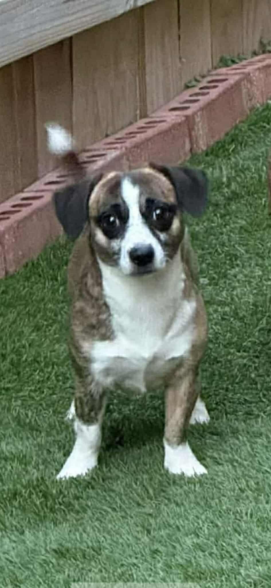 Nicholas Arriving thumbnail 2