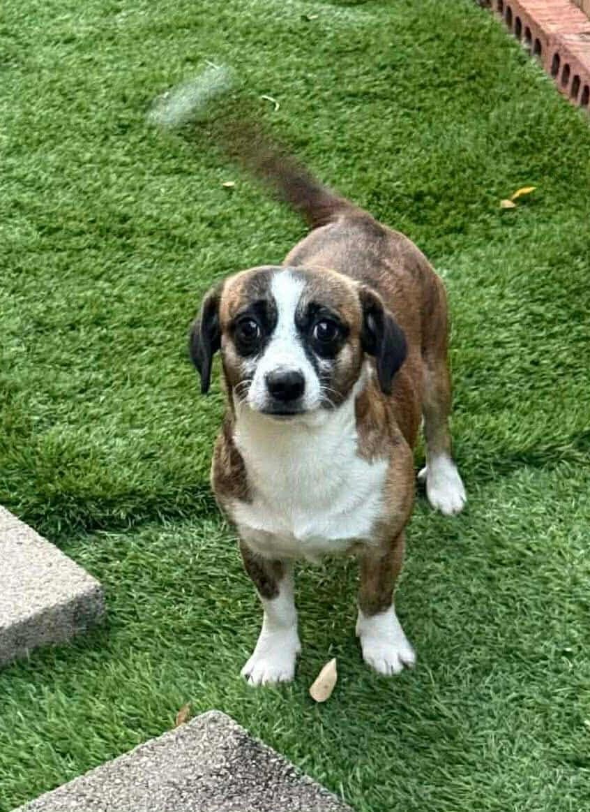 Nicholas Arriving thumbnail 3