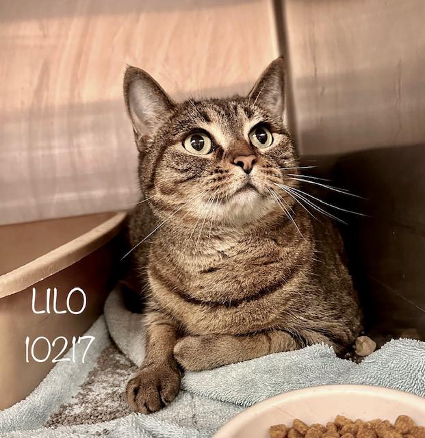 LILO