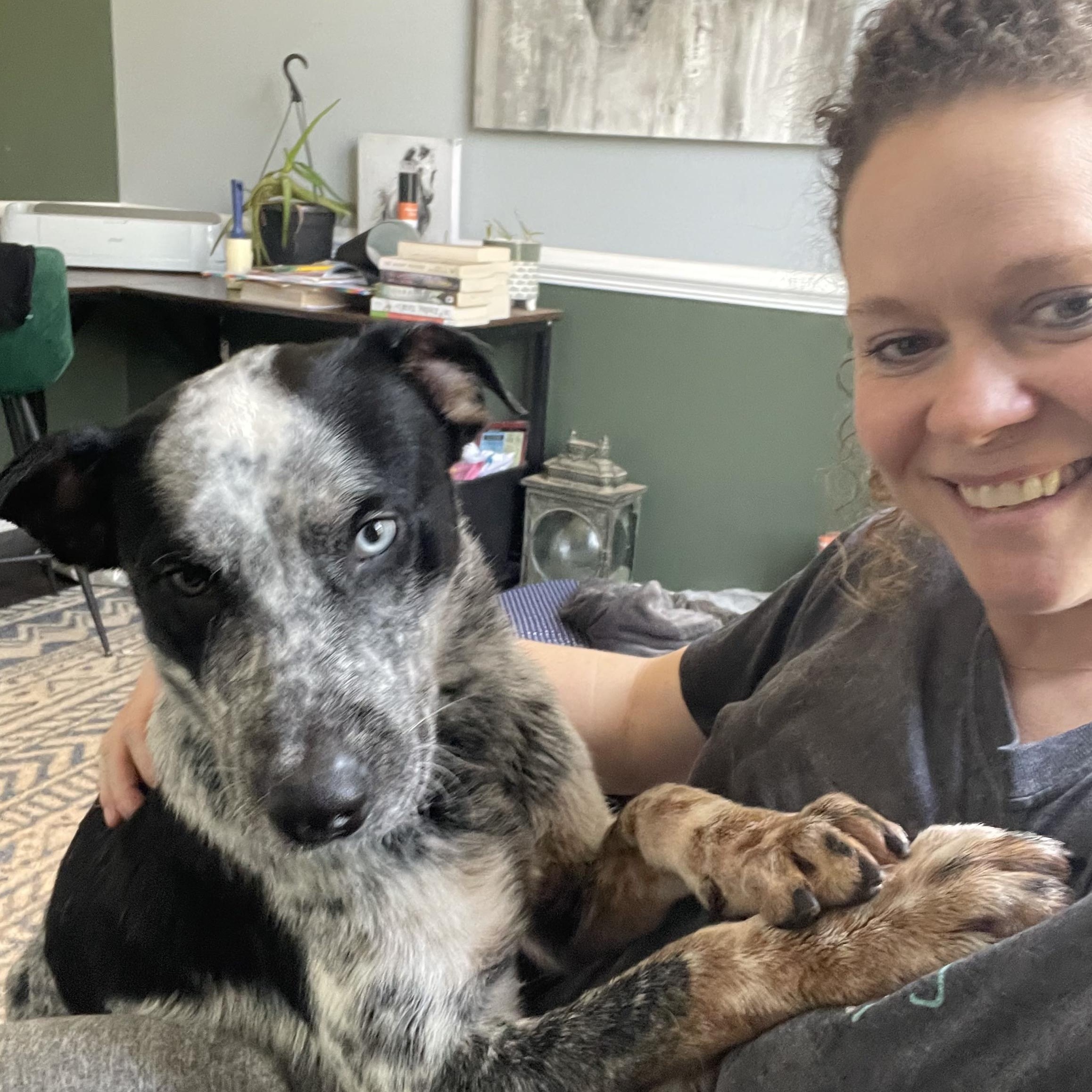 Enlarge Maverick, a ADOPTABLE mixed breed in Duluth, GA image 5/6