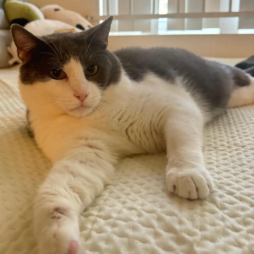 Zeke — thumbnail 2