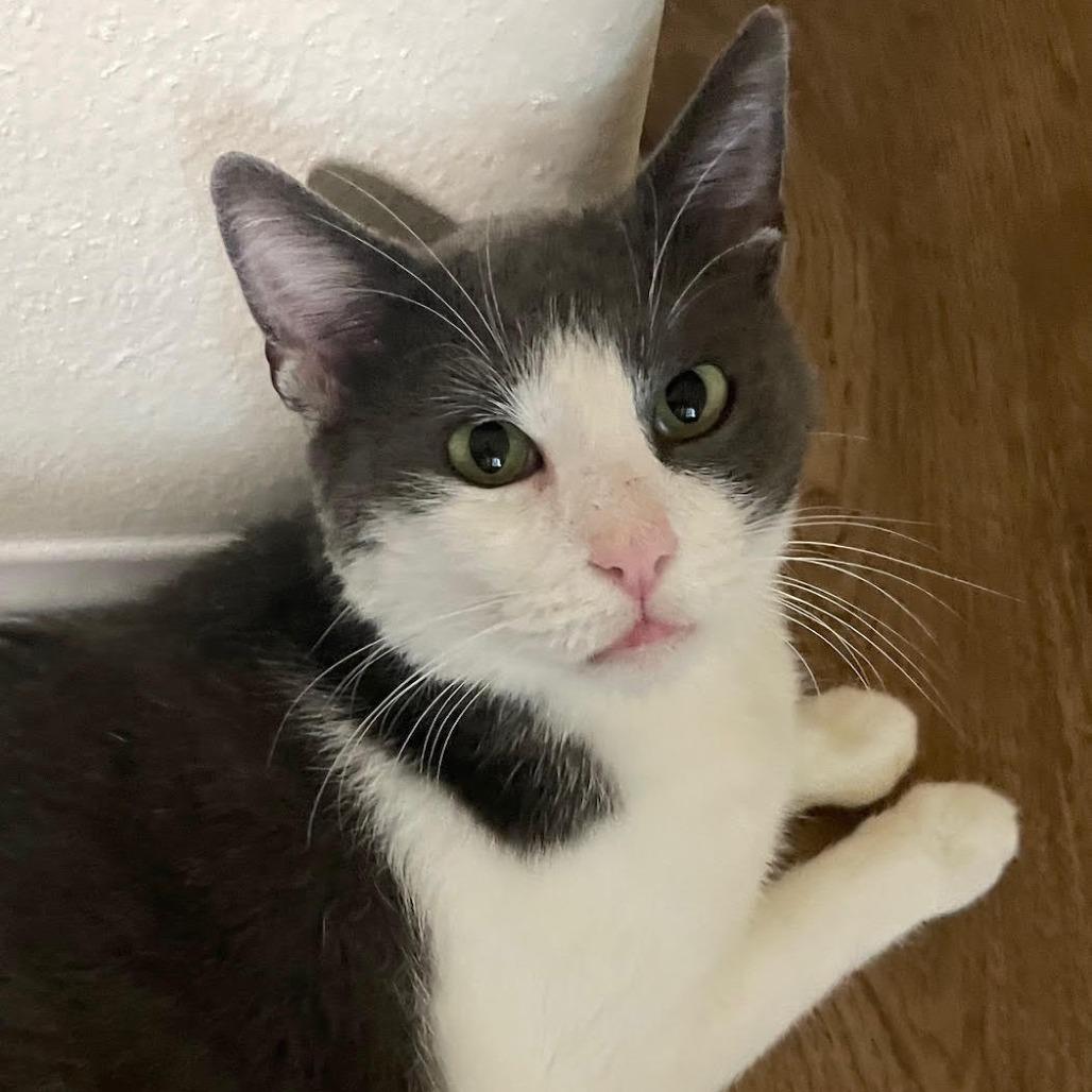 Zeke — thumbnail 3