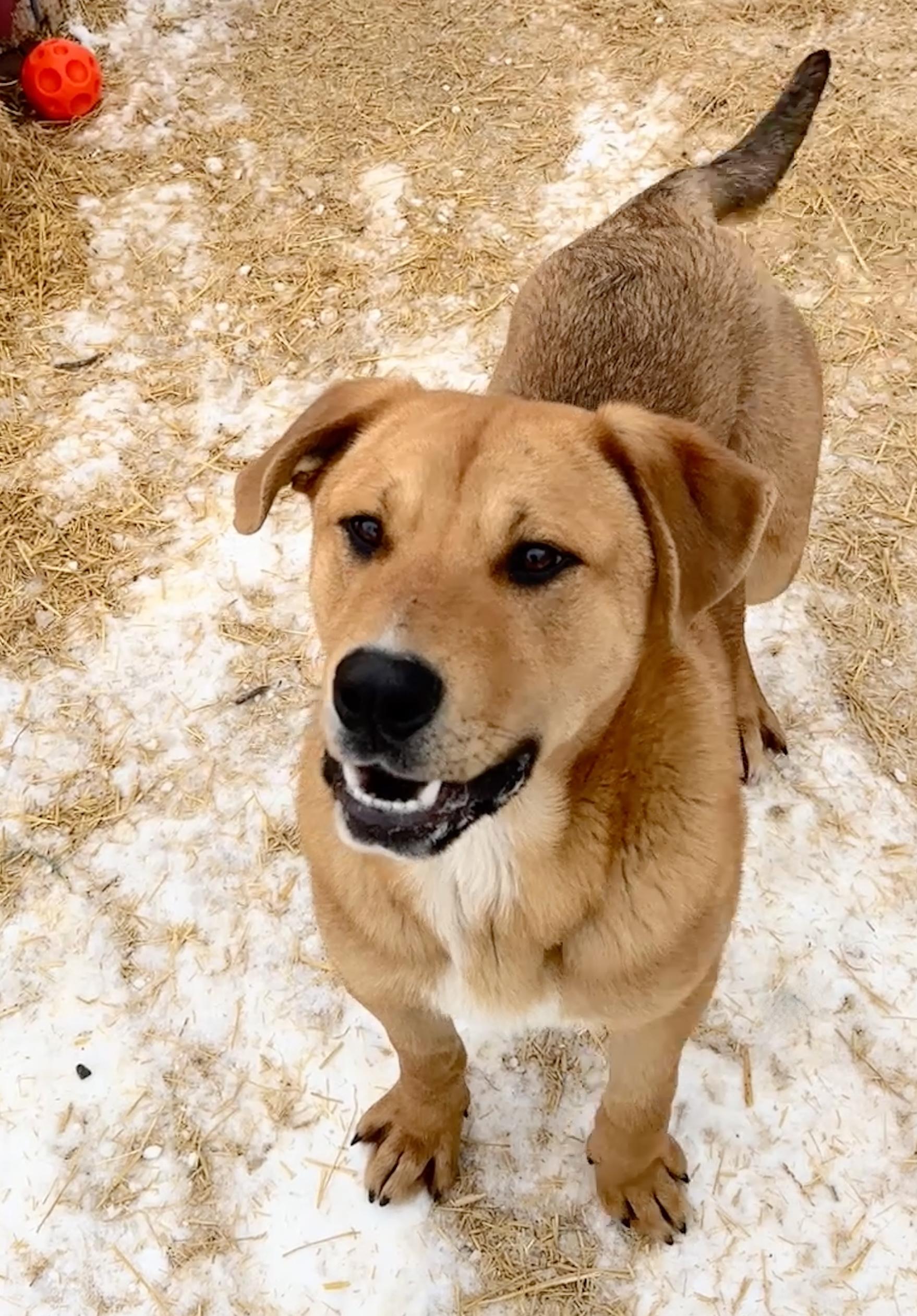 Samson