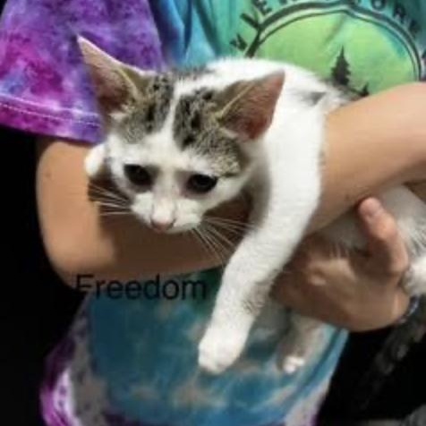 Freedom