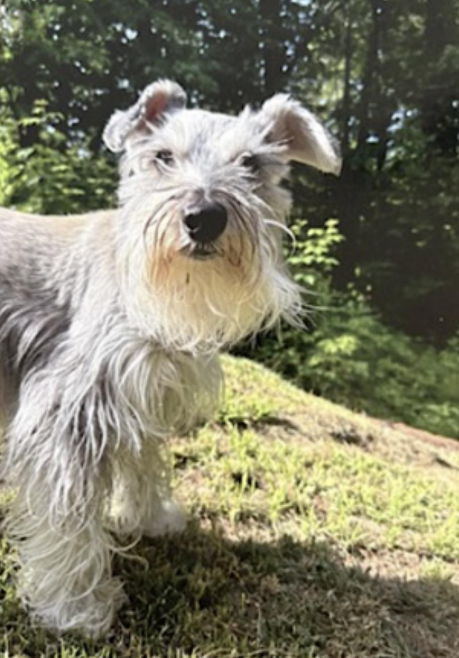 Marvel — thumbnail 4