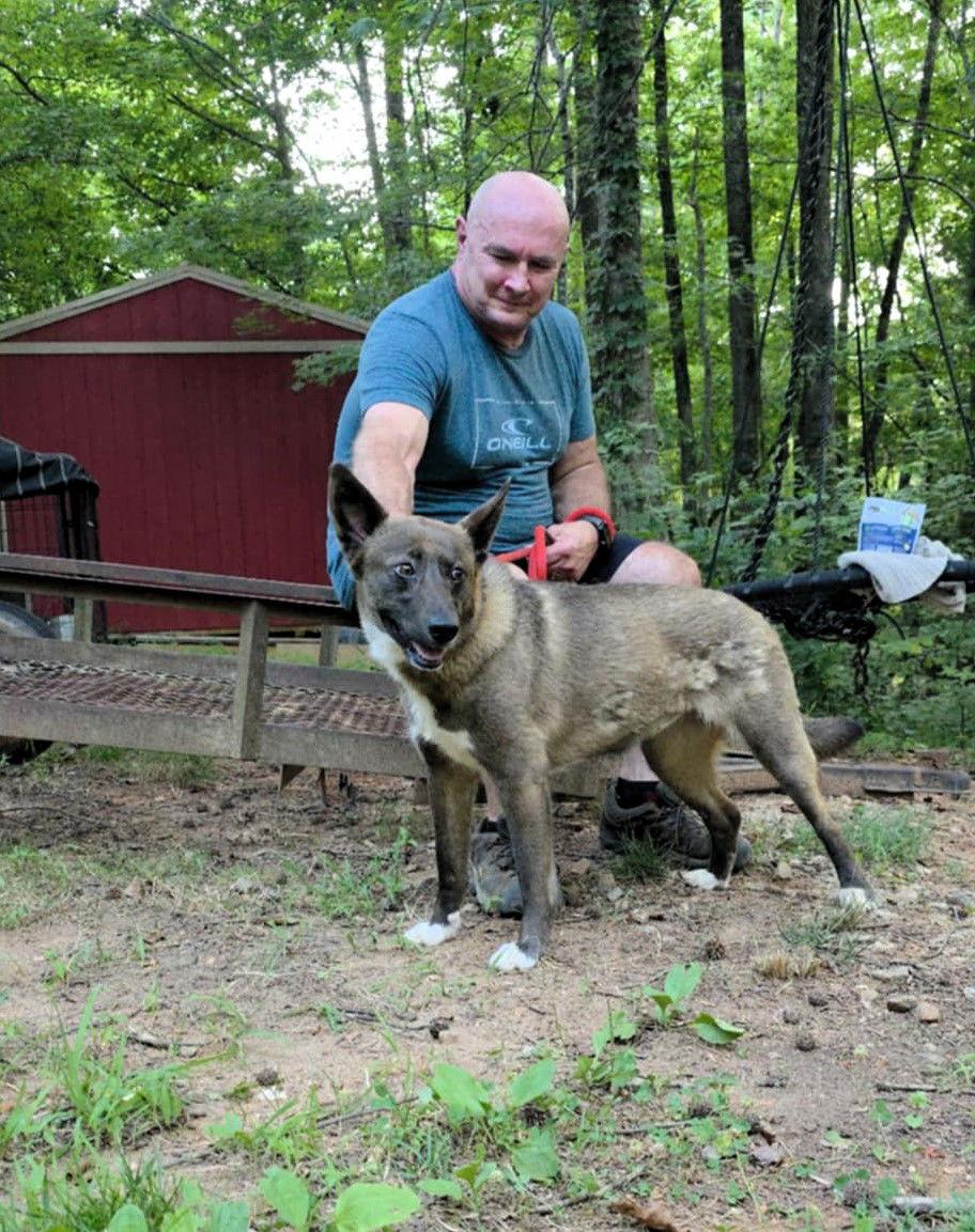 Enlarge Tina, a Adoptable Mixed Breed in Shelburne, VT image 3/3