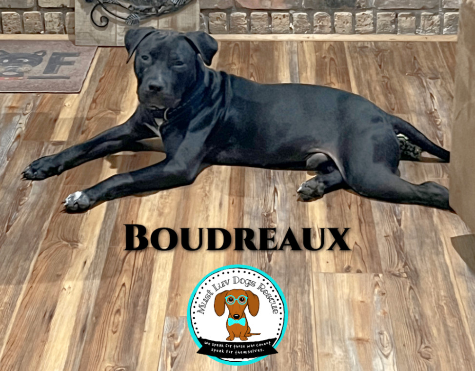 Boudreaux photo 4