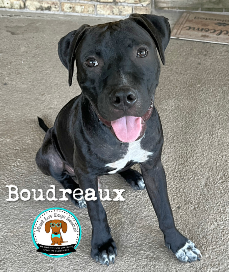 Boudreaux photo 1
