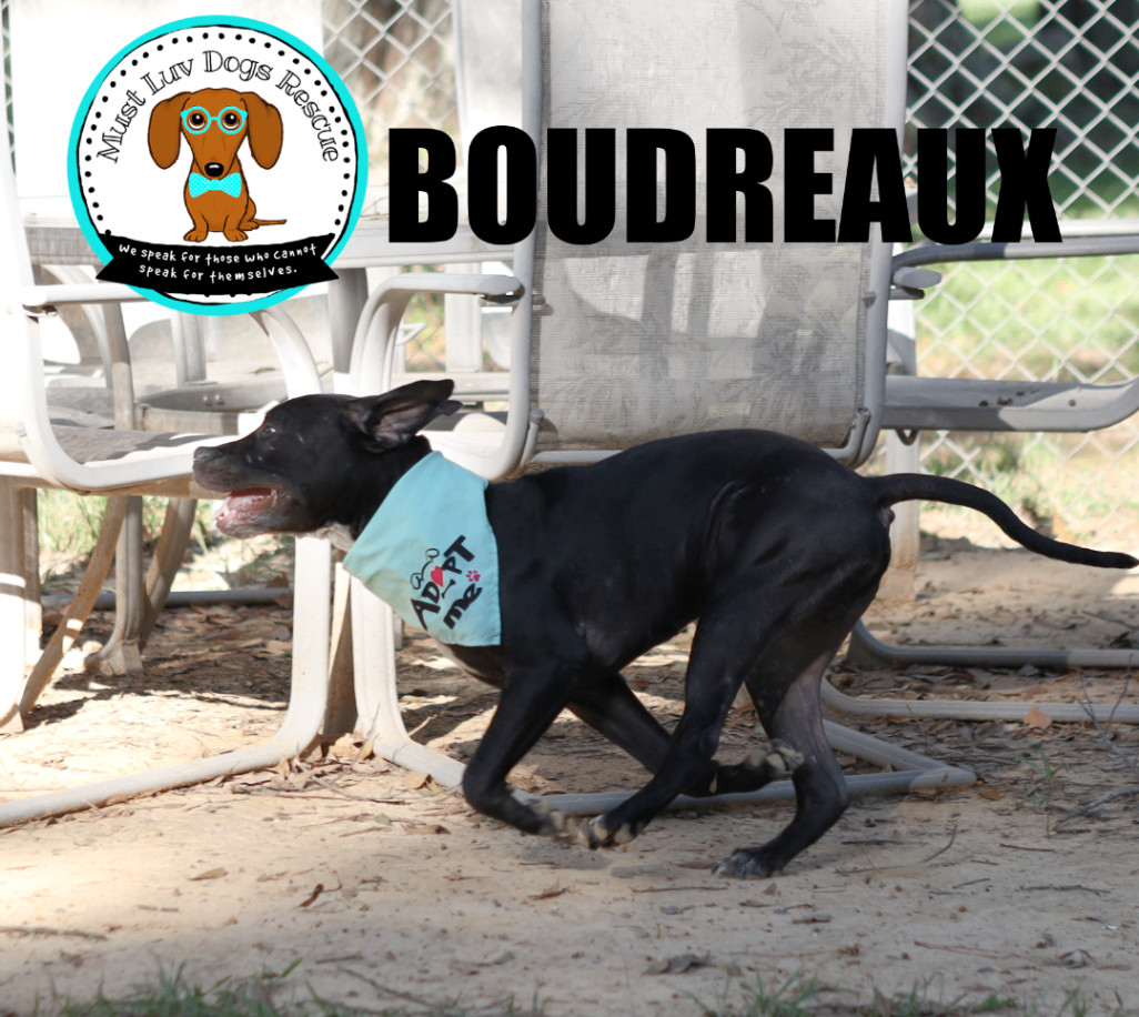 Boudreaux photo 5