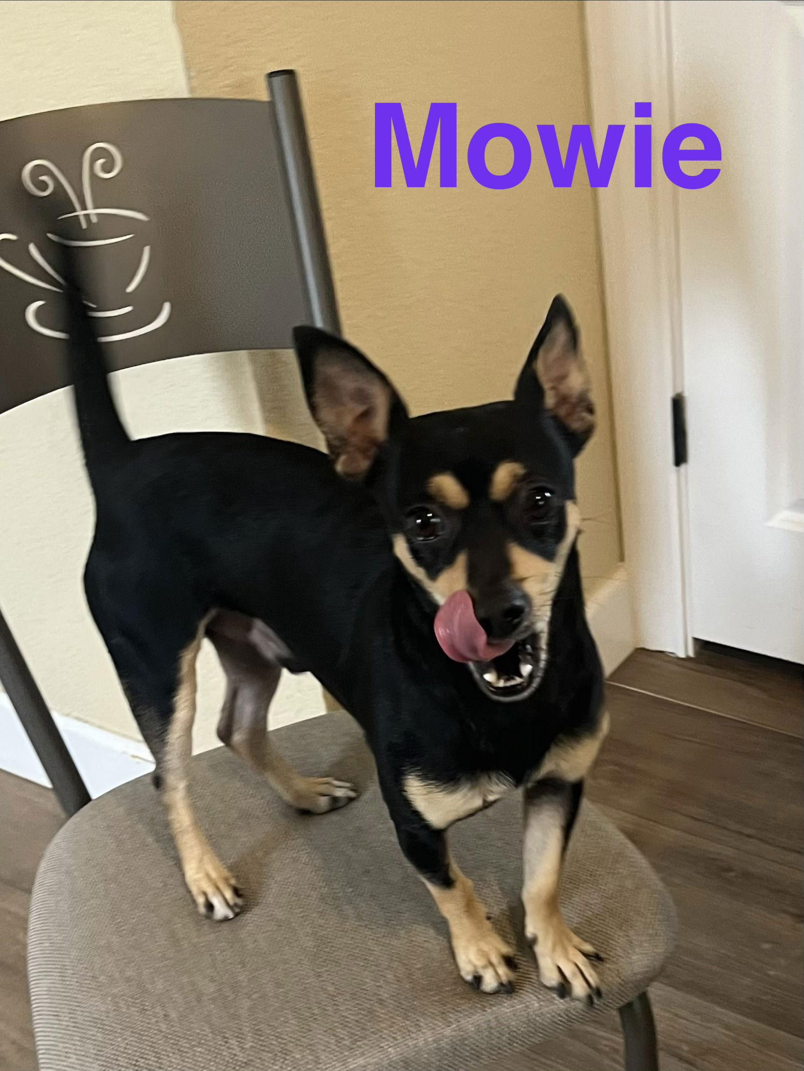 Mowie — thumbnail 2