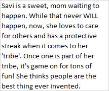Savi, a Adoptable Domestic Short Hair in Libby, MT image 2/2