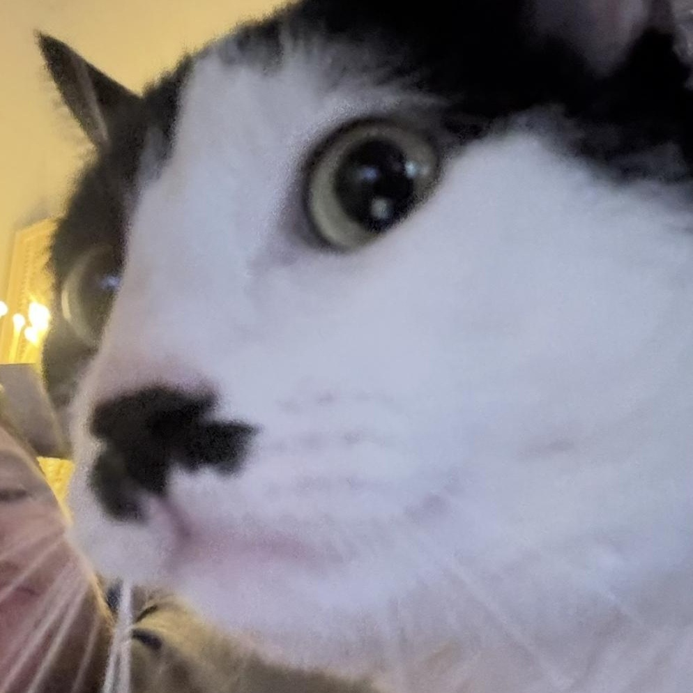 Bugsy 4