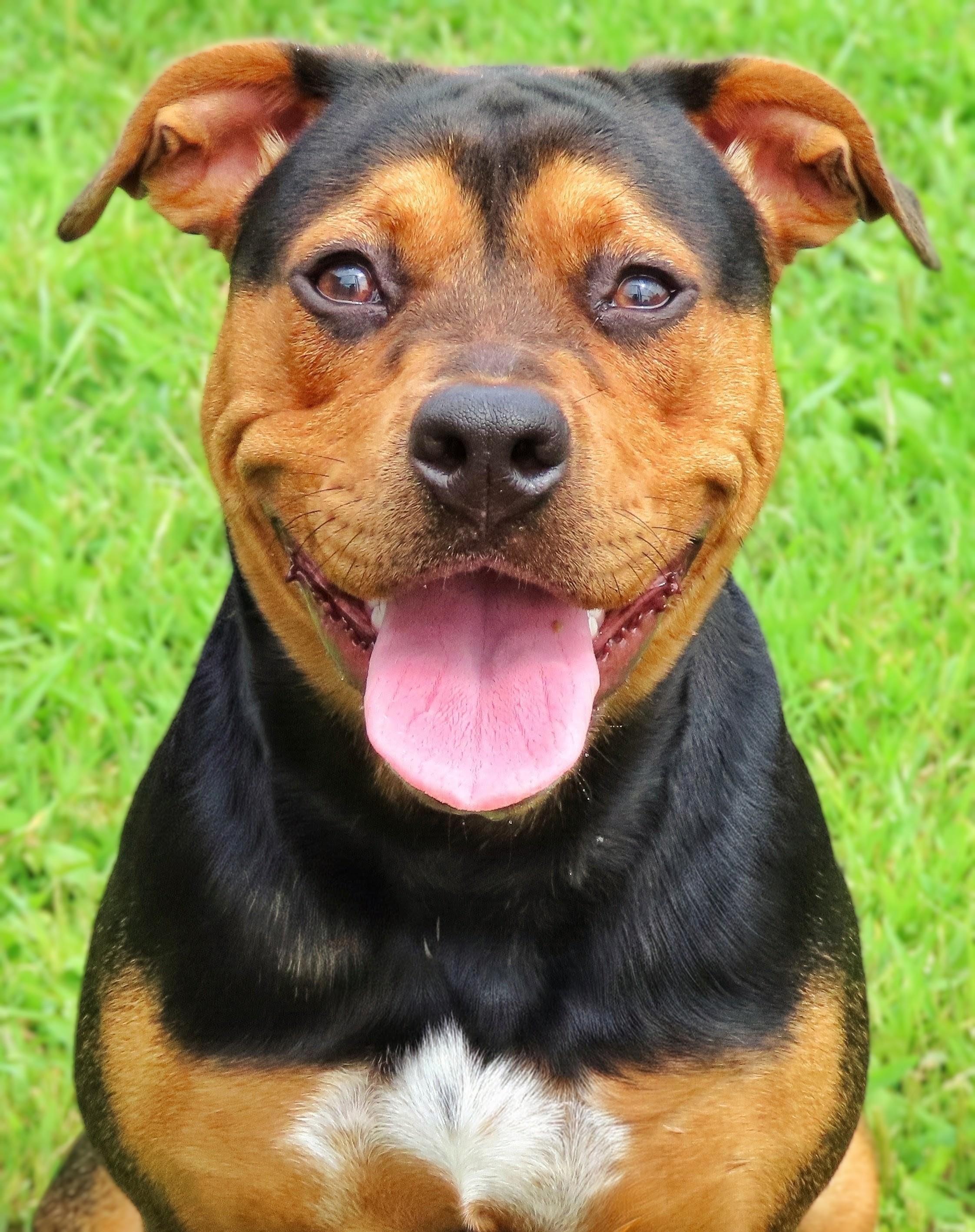 26-352 Coco photo