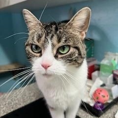 Ruby Shewman (super friendly girl!)