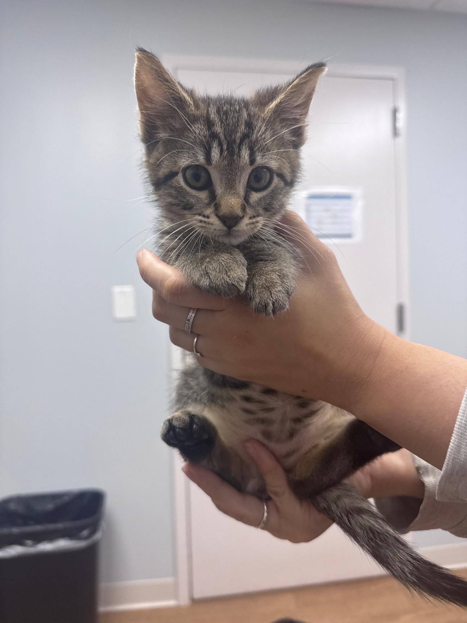 Tiny Tim