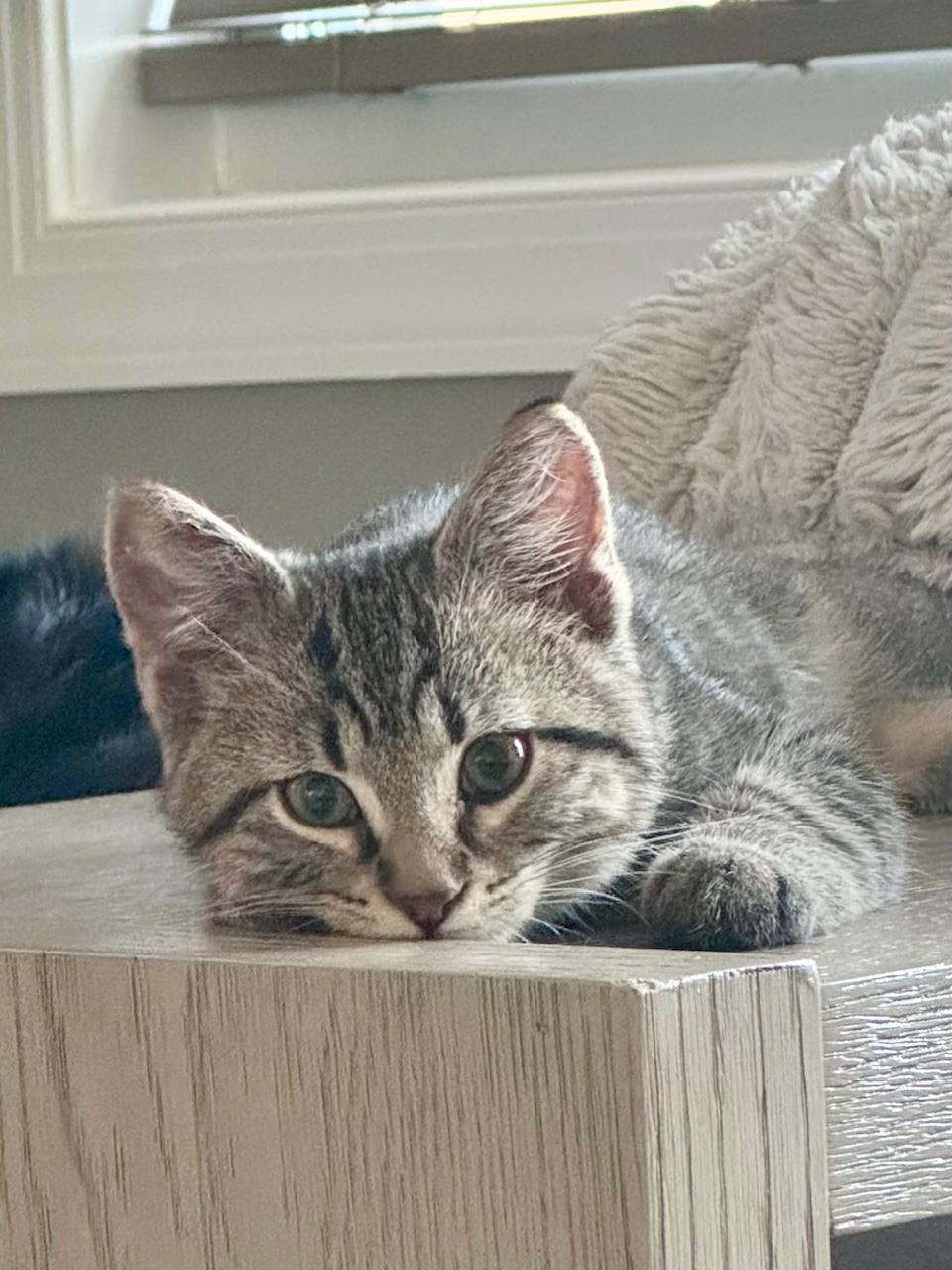 Tiny Tim