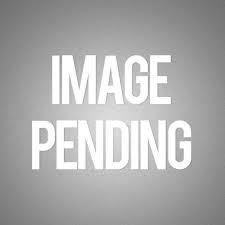 Enlarge Mumbo Jumbo, a Adopted mixed breed in Ashland, VA image 1/1