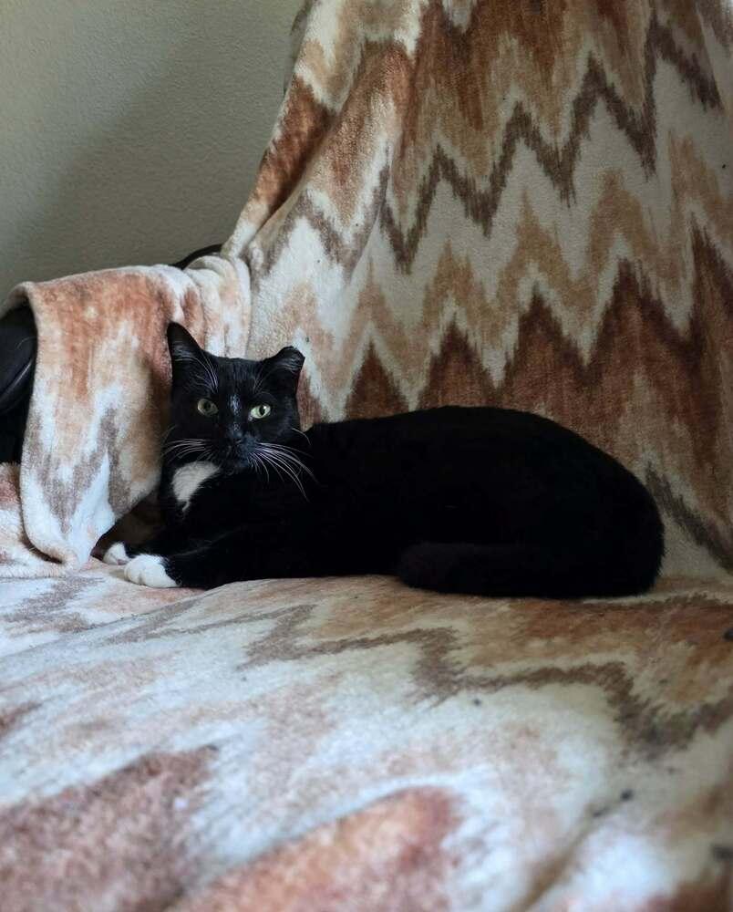 Fiona 4 — thumbnail 2