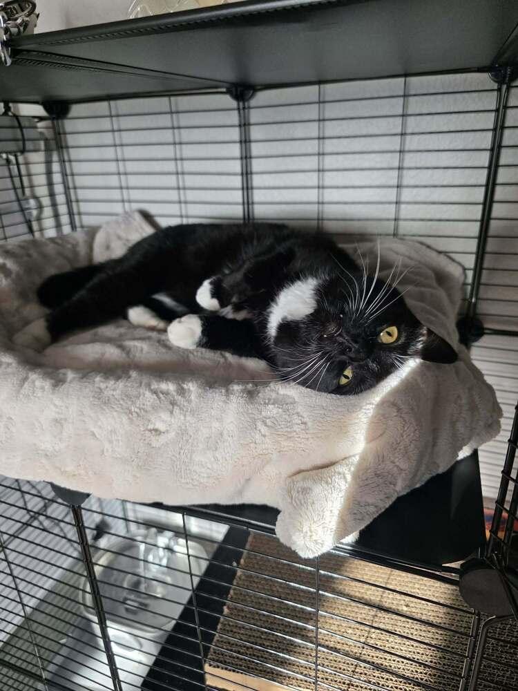 Fiona 4 — thumbnail 3