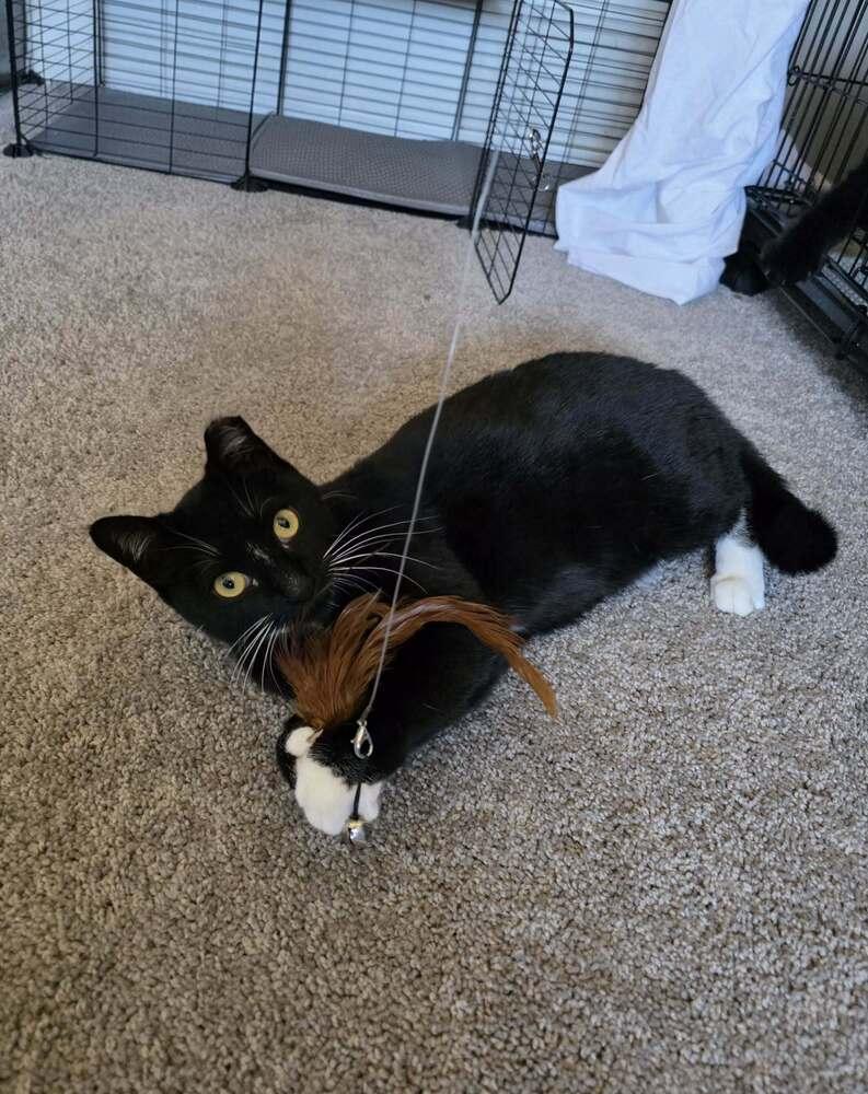 Fiona 4 — thumbnail 4