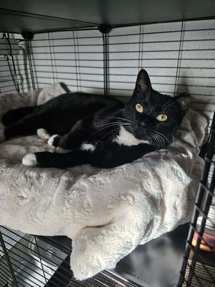 Fiona 4 — thumbnail 5