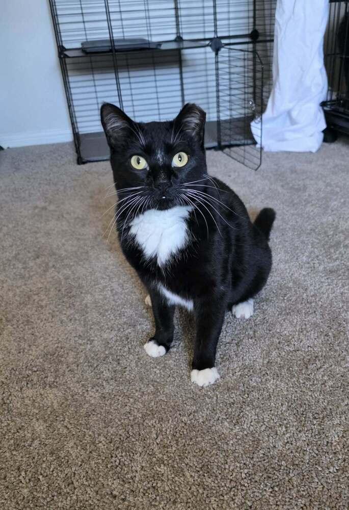 Fiona 4 — thumbnail 6