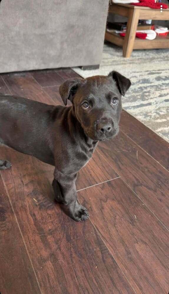 Coffee Crew  Mocha thumbnail 3