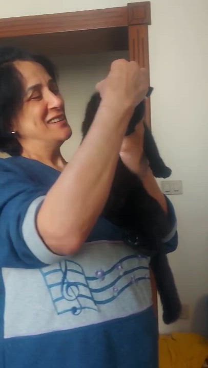 Enlarge Jetta, a Adoptable mixed breed in Brampton, ON video 2/3