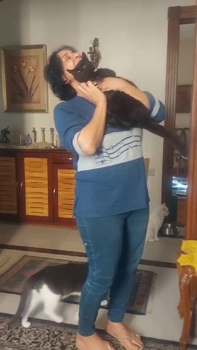 Enlarge Jetta, a Adoptable mixed breed in Brampton, ON video 3/3