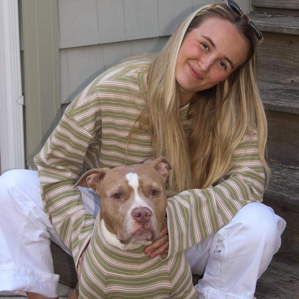 Enlarge Clementine, a Adoptable Mixed Breed in Medford, NJ image 3/6