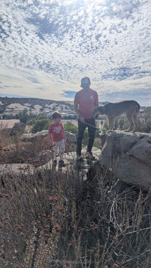 Neon, a Adoptable mixed breed in Vancouver, BC image 2/4