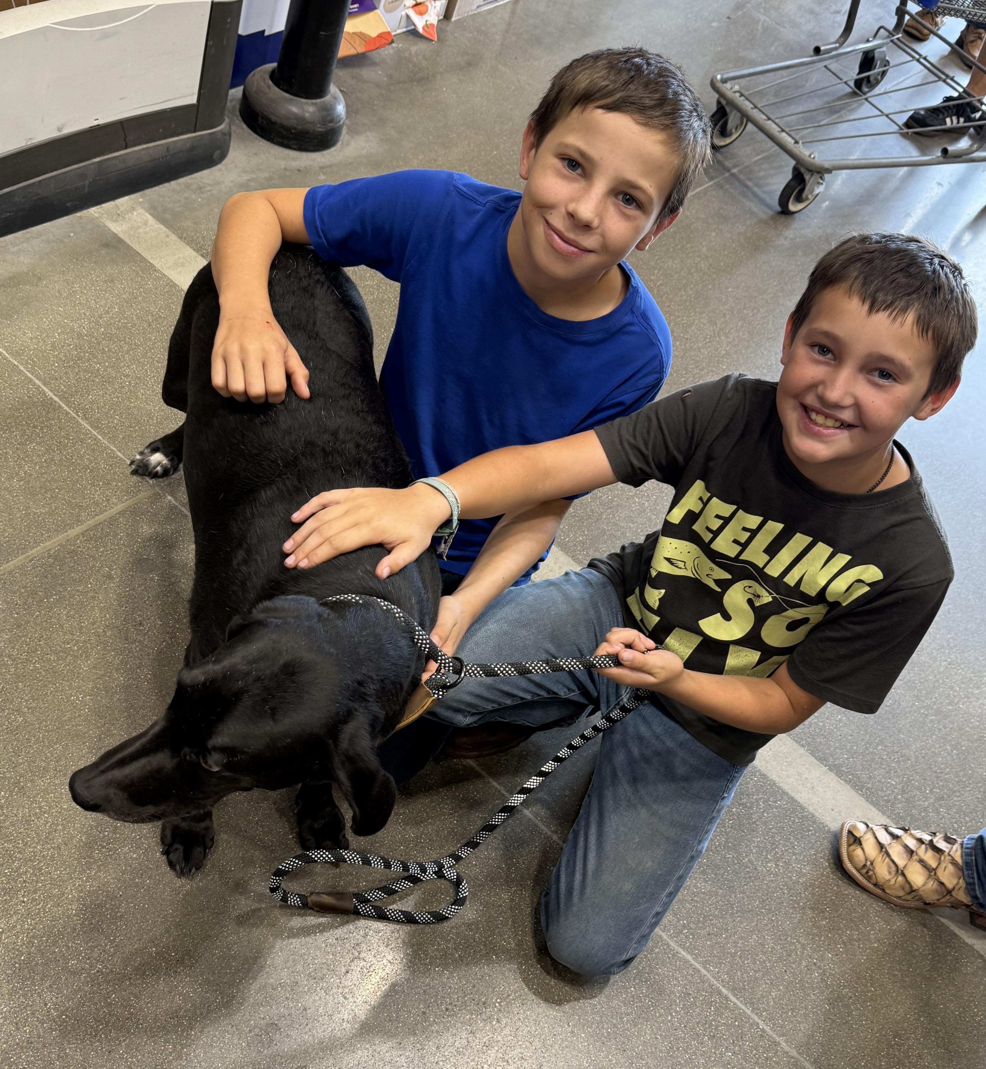 Angel - ready for love!, a Adoptable mixed breed in North Bay, ON image 3/6