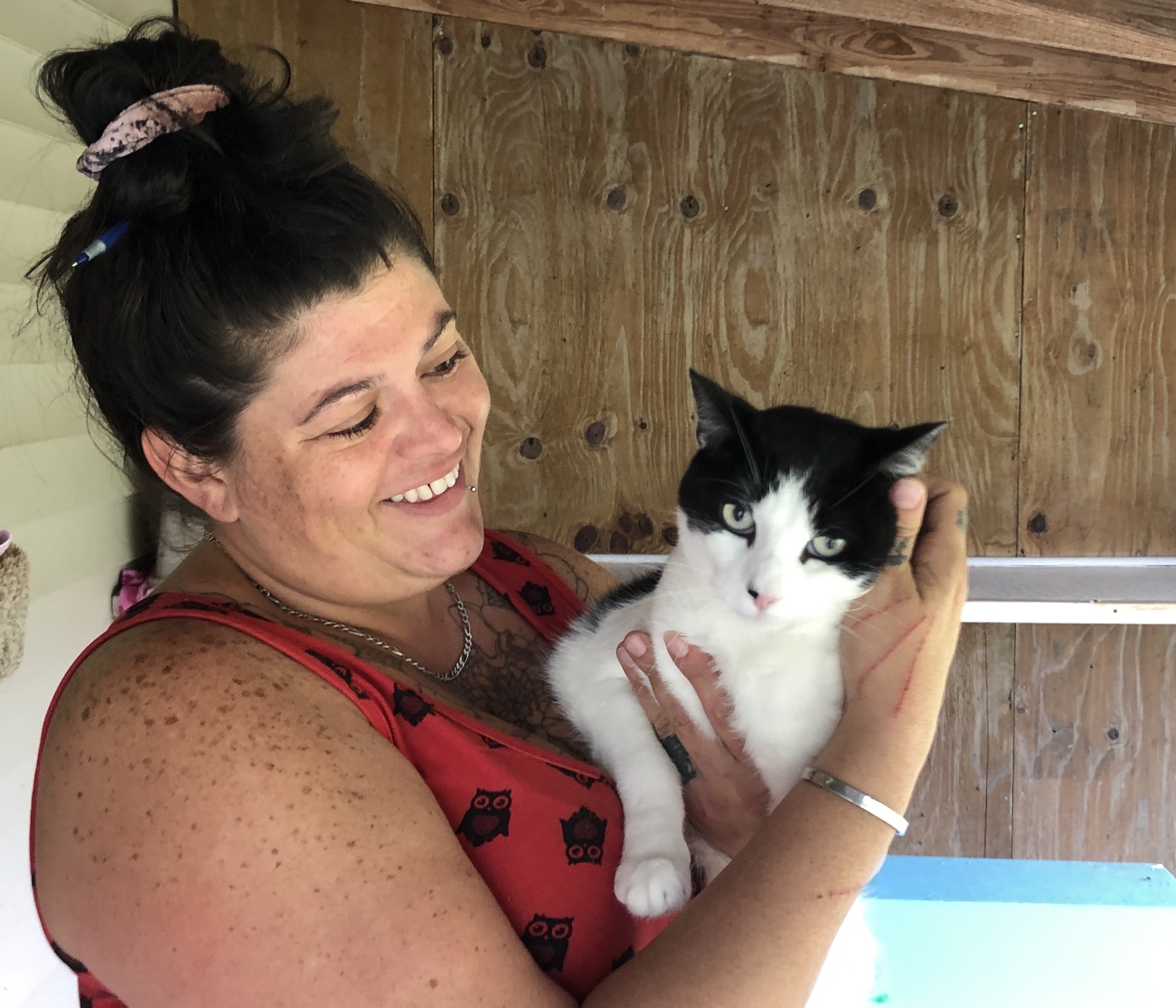 Birdie, a Adoptable Domestic Short Hair in Palmyra, VA image 4/6