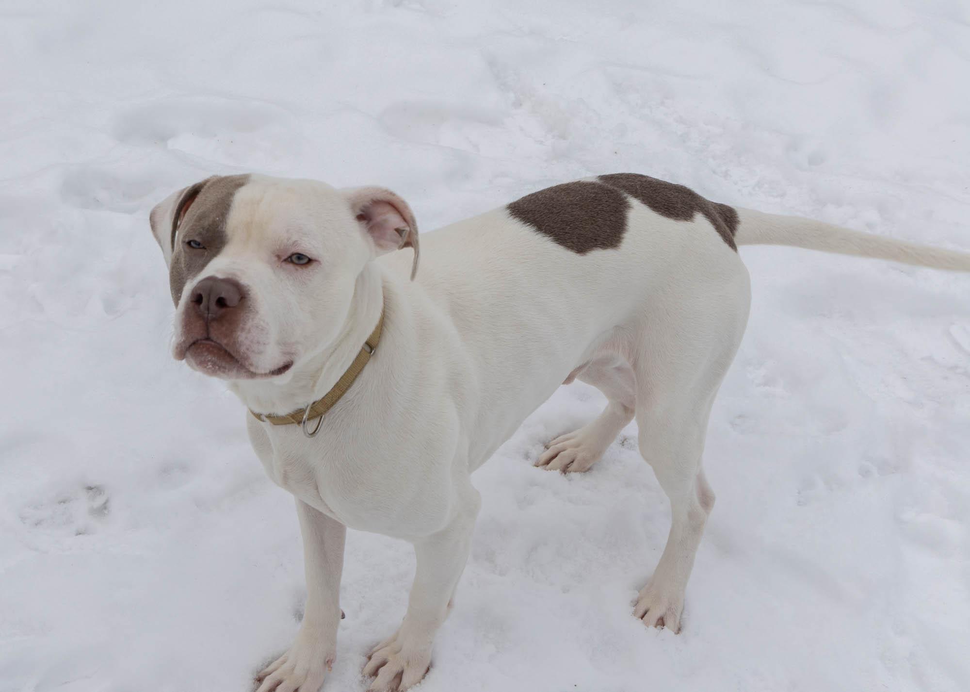 Brew — thumbnail 2