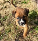 Tippy — thumbnail 2