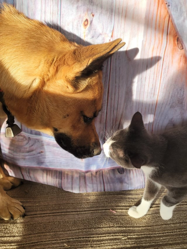 READ STORY FIRST Canteena INDOOR ONLY — thumbnail 3