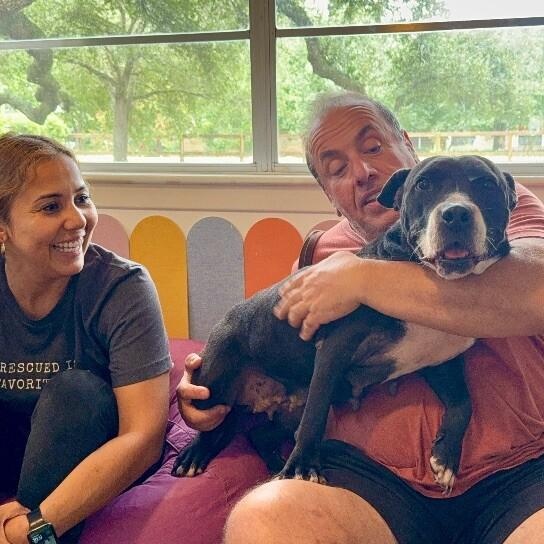 Chloe Francine the snack loving cuddle bug old lady! — thumbnail 3