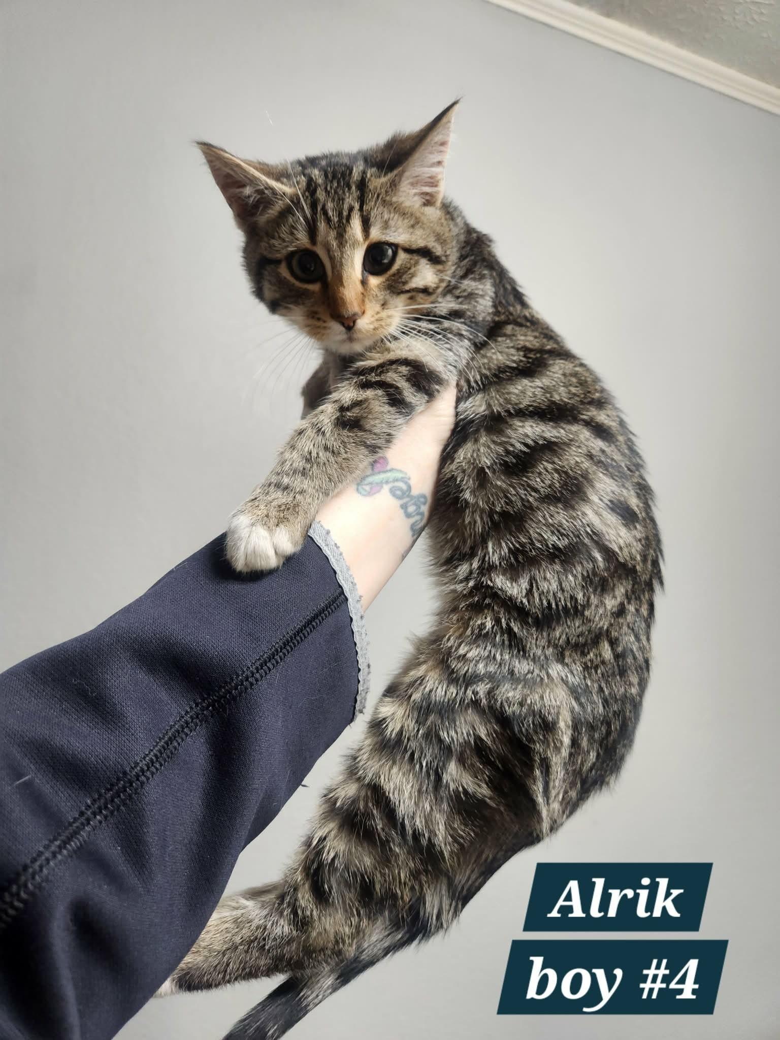 Alrik