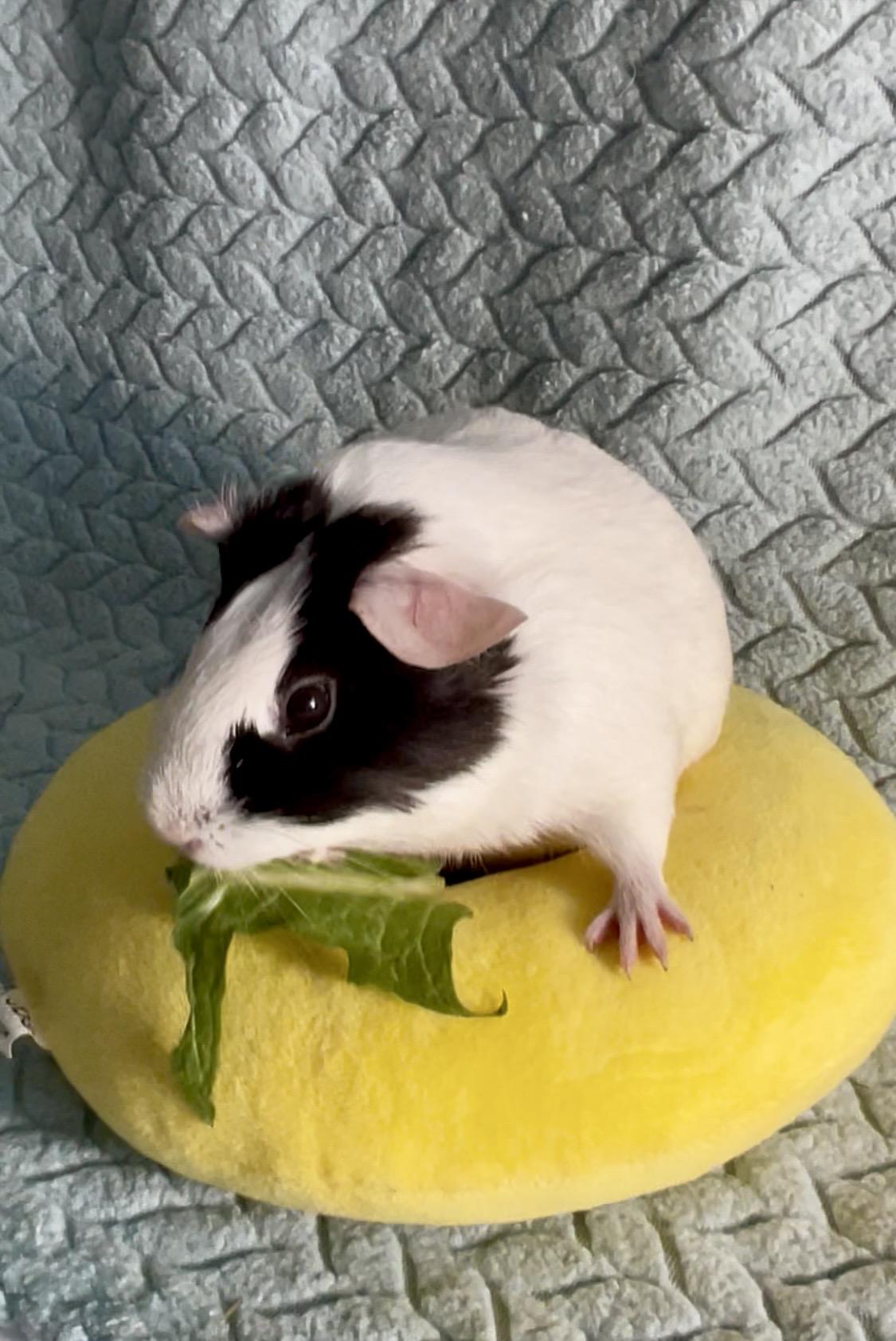 Edna photo 2