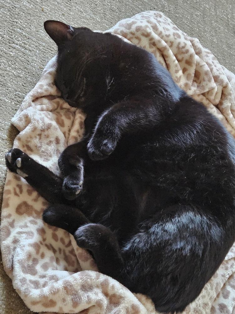 Reacher — thumbnail 2