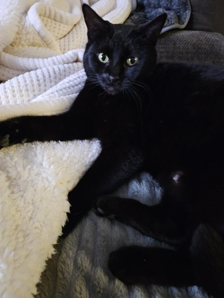 Reacher — thumbnail 3