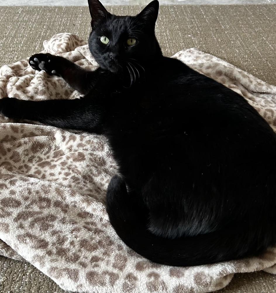 Reacher — thumbnail 4